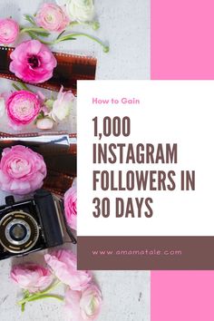 pink flowers and an old camera with the words how to gain 1, 000 instagram followers in 30 days