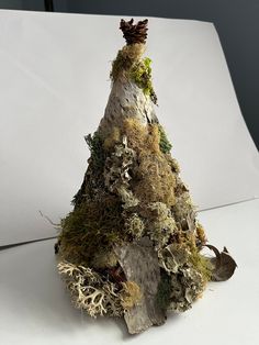 a small tree made out of moss and rocks on a white surface with a gray background