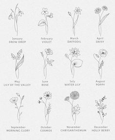 the different types of flowers and their names