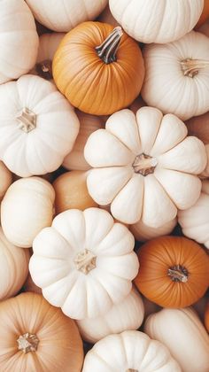 pumpkins and gourds are piled up together