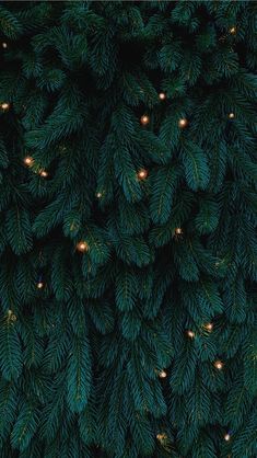 the top view of a christmas tree with lights on it's branches and green needles