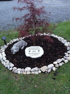 there is a small tree in the ground with rocks around it and a dog statue