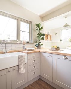 a kitchen with white cabinets and wooden counter tops next to a large potted plant