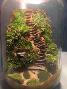 a glass jar filled with water and moss growing on top of it's sides