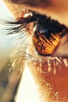 an eye looking into the distance with its reflection in it's irise,