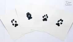 four black ink prints on white paper, with one paw print in the middle and two paws