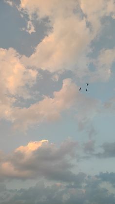 two birds are flying high in the sky on a cloudy day with blue skies and white clouds