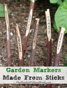 garden markers made from sticks in the soil with text overlay that reads garden markers made from sticks