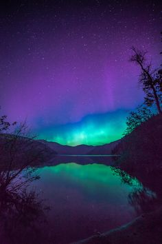 an aurora bore is seen in the night sky over a body of water with trees