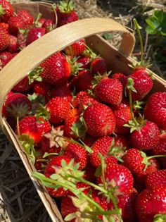 a basket full of strawberries sitting on the ground next to another basket filled with strawberries