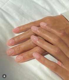 Natural Elegant Nails, Mani Pedi Colors, Sheer Pink Nails, Classy Manicure, Short Classy Nails, Old Money Nails, Money Nails, Soft Pink Nails, Sheer Nails