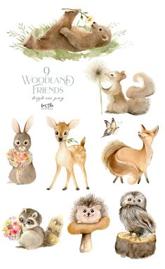 watercolor animals and plants are featured in this illustration, including an owl, deer, squirrel