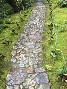 an old stone path is surrounded by green grass