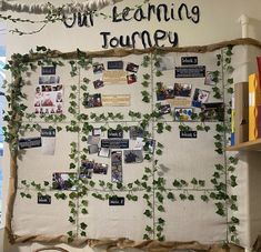 a bulletin board is covered with ivys and photos for learning to young children at the same time