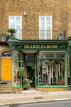 a store front with plants in the windows