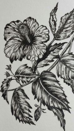 a black and white drawing of flowers on a sheet of paper with leaves around it