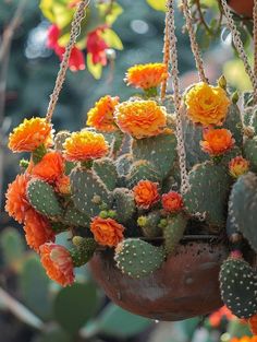 a potted plant with orange and yellow flowers hanging from it's sides in a garden