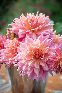 some pink flowers are in a vase on a table