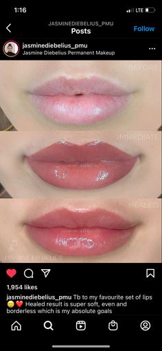 Lip Blushing Tattoo Colors Mauve, Lip Blush Color Chart, Lip Blushing Tattoo Before And After Colors, Lip Blushing Tattoo Colors Natural