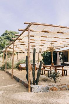 an image of a cactus in the middle of a yard with a pergolated roof