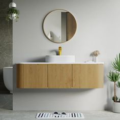 a bathroom with a sink, mirror and potted plant on the floor in front of it