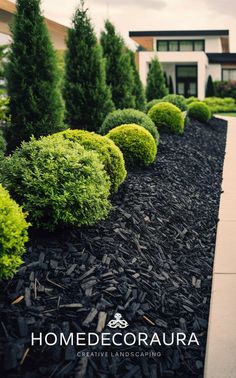 some bushes and trees in front of a house