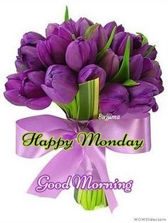 a bouquet of purple tulips with the words happy monday good morning