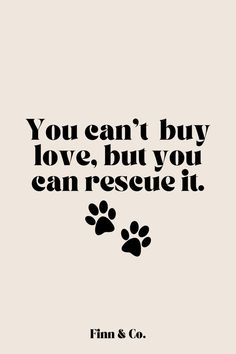 What Is A Rescue Dog? || dog training methods Shelter Dog Quotes, Dog Adoption Quotes, Rescue Dog Quotes, Animal Rescue Quotes, Rescue Quotes, Is It Really Worth It, Animal Lover Quotes, Dog Mom Quotes, Adoption Quotes