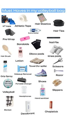 the most must haves in my vehicle's bag info sheet for all types of items