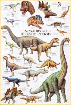 an image of dinosaurs and other dinosaurs in the wild with their names on them