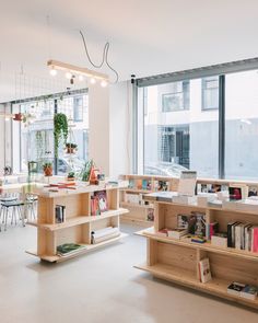 a room filled with lots of books on wooden shelves next to large windows and potted plants