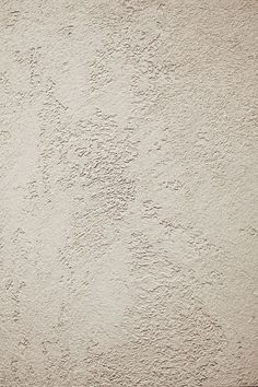 a black and white cat sitting on the side of a wall