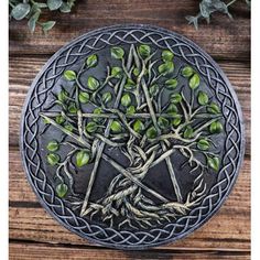 a tree with green leaves in a metal plate on a wooden table next to plants