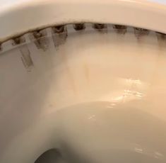 the toilet seat is dirty and needs to be cleaned