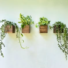 three wooden planters with green plants hanging from them on a white wall, one above the other