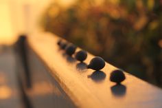 black balls are lined up on the edge of a bench