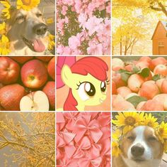 the collage has pictures of apples, flowers, and dogs in them as well as an apple tree