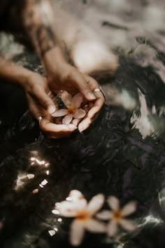 a person holding flowers in their hands with water reflecting on the ground behind them,