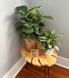 two potted plants sitting on top of a wooden table next to each other in a corner