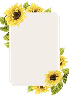 a sunflower border with leaves and flowers in the center, on a white background