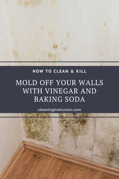 moldy walls with vinegar and baking soda on the floor in front of it text reads how to clean & kill mold off your walls with vinegar and baking soda