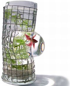 a glass vase filled with water and plants