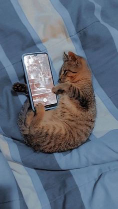 a cat laying on top of a bed next to a cell phone in it's paws