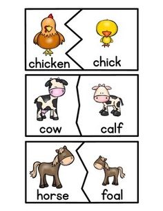 an animal and bird word family worksheet