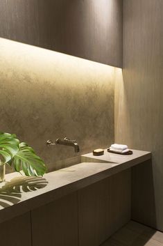 a bathroom sink with a plant on the counter