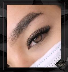 Kitten Eyelash Extensions, Half Set Eyelash Extensions, Lash Extension Salon, Eyelash Removal, Lashes At Home, Best Eyelash Extensions, Short Cat, Semi Permanent Lashes, Cat Eye Lashes