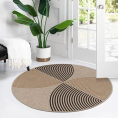 a living room with a potted plant on the floor and two rugs in front of it