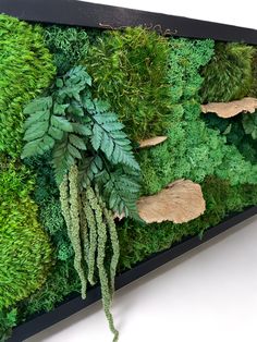 a moss covered wall with leaves and other greenery on the bottom part of it