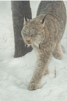 a painting of a cat walking in the snow next to a tree and some branches