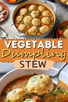 vegetable dumpling stew in a white bowl with ladle full of soup and the title overlay reads, vegetable dumpling stew